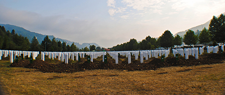 Srebrenica Genocide Memorial landscape