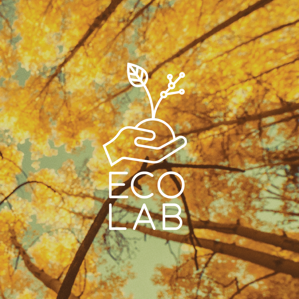 The “Eco Lab”